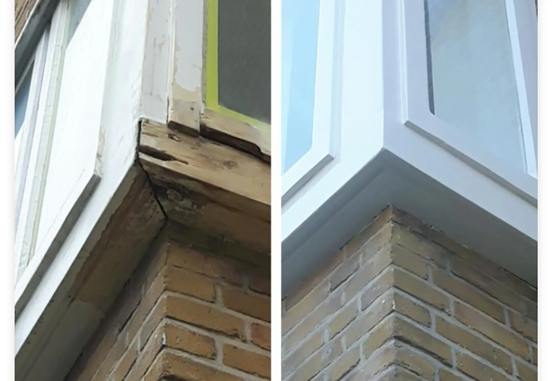 Schildersbedrijf D. ten Bosch