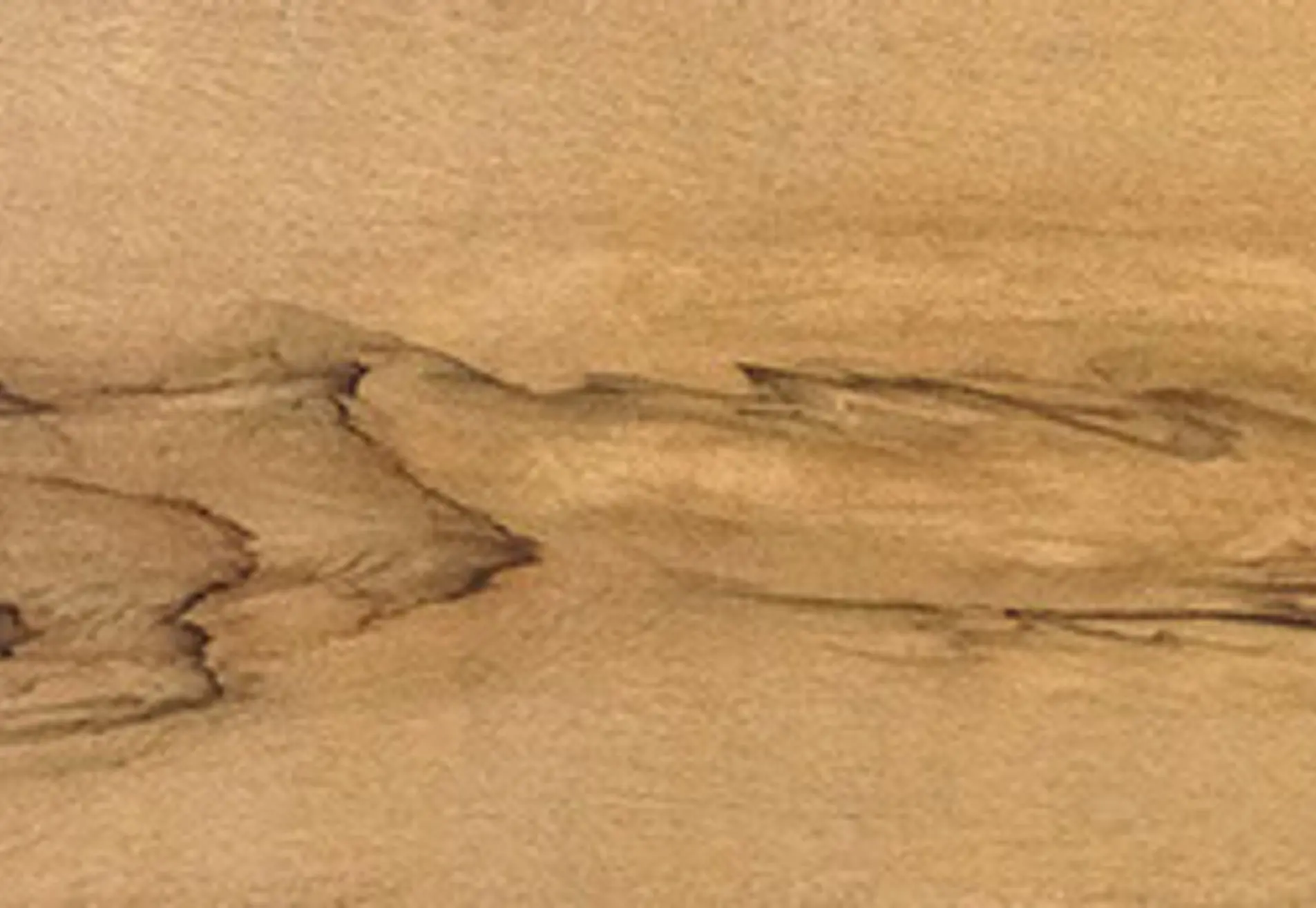 Van der Made Schilders