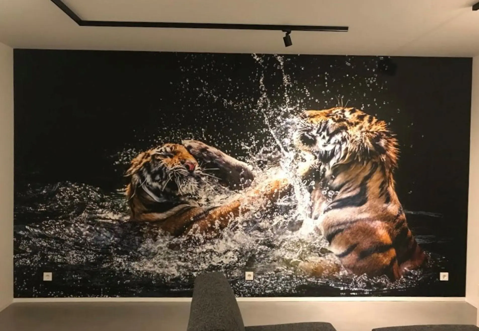 Wilhelm B.V. Schilders & Stukadoors