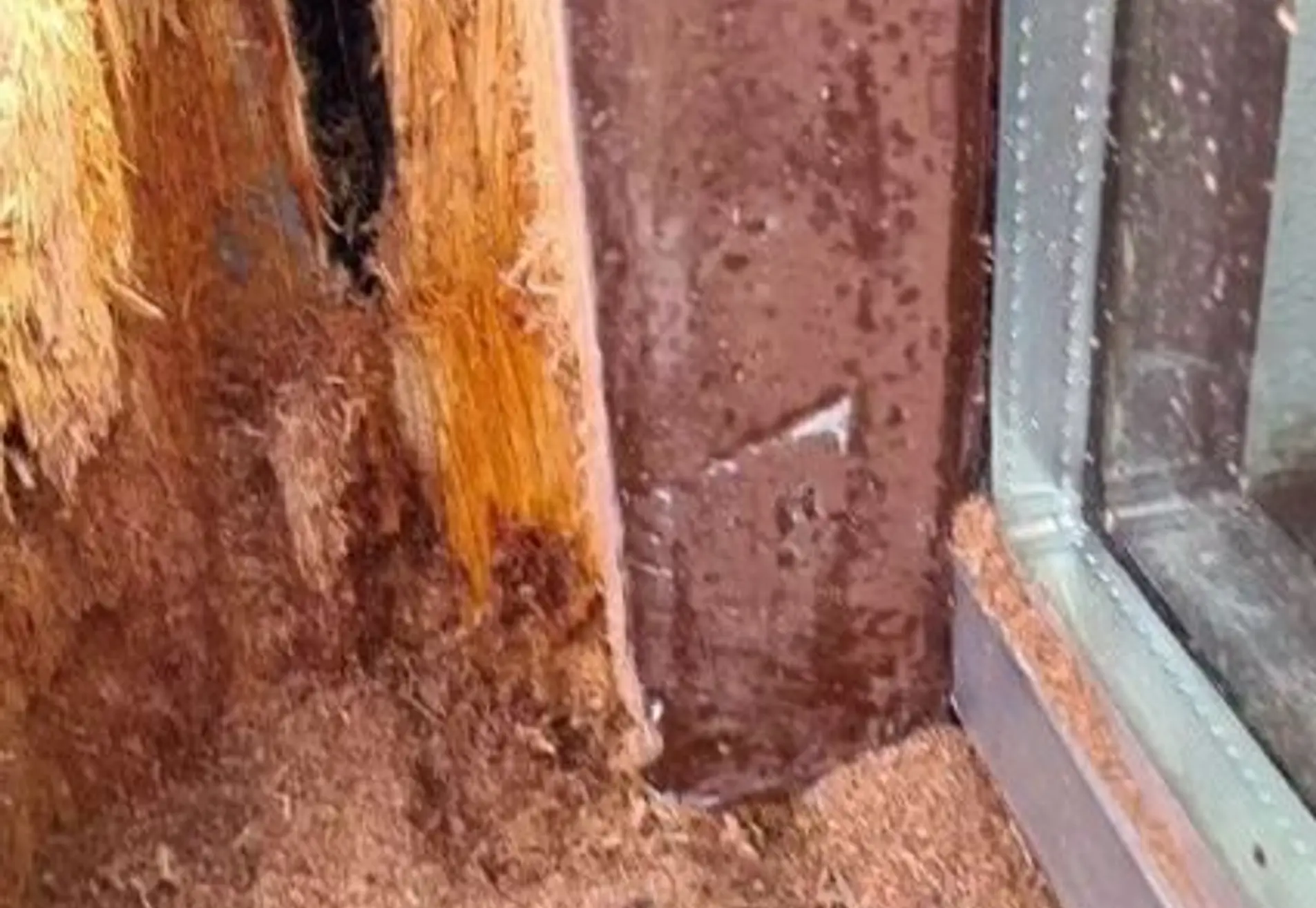 Schildersbedrijf BenZz