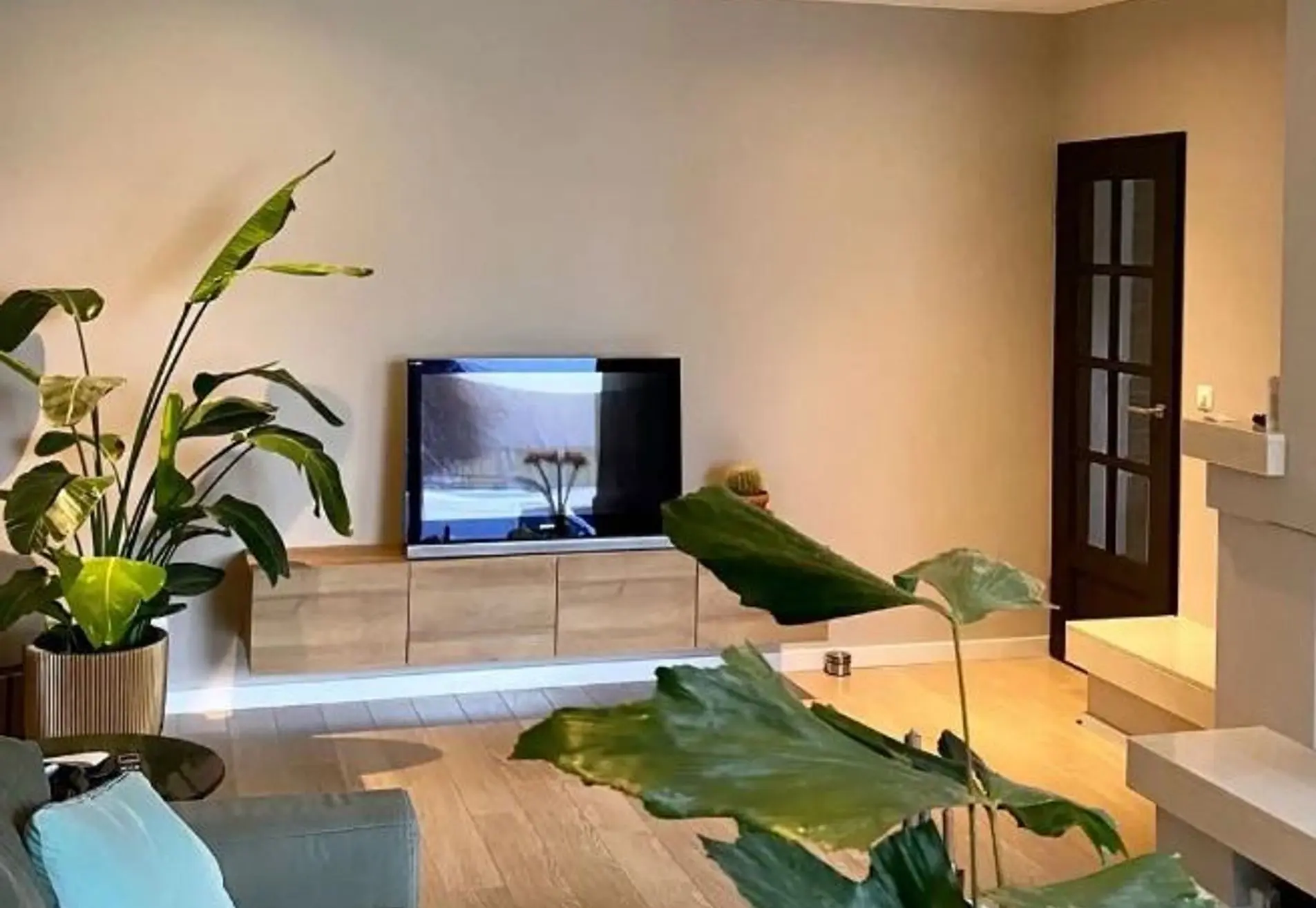 Steeghs Schilderwerken