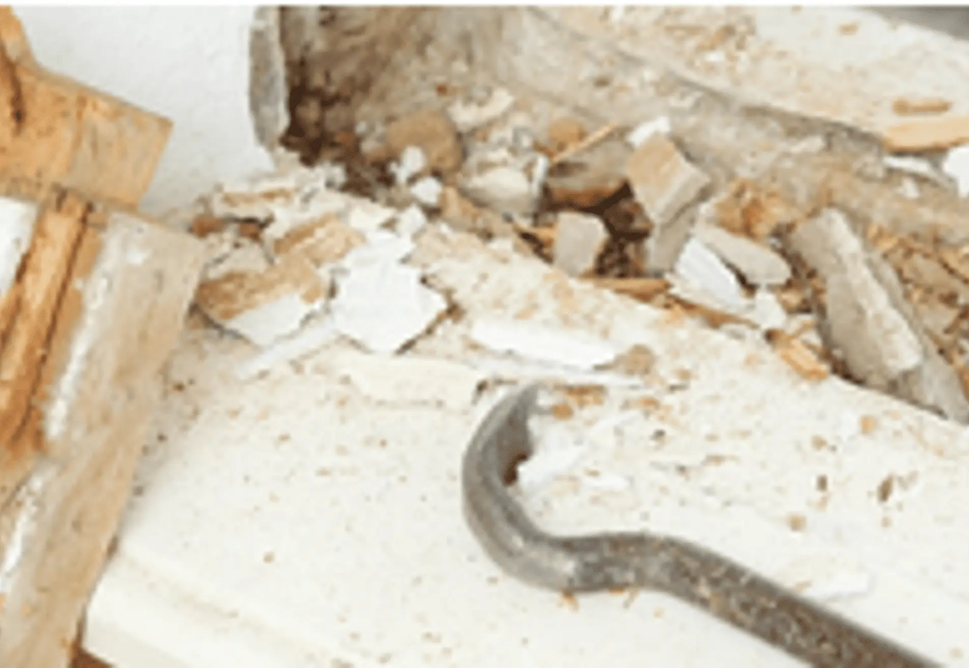 Houtrotreparatie IJsselstein