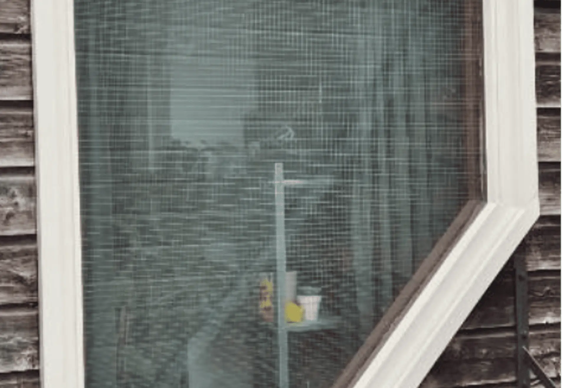 Houtrot reparaties Utrecht