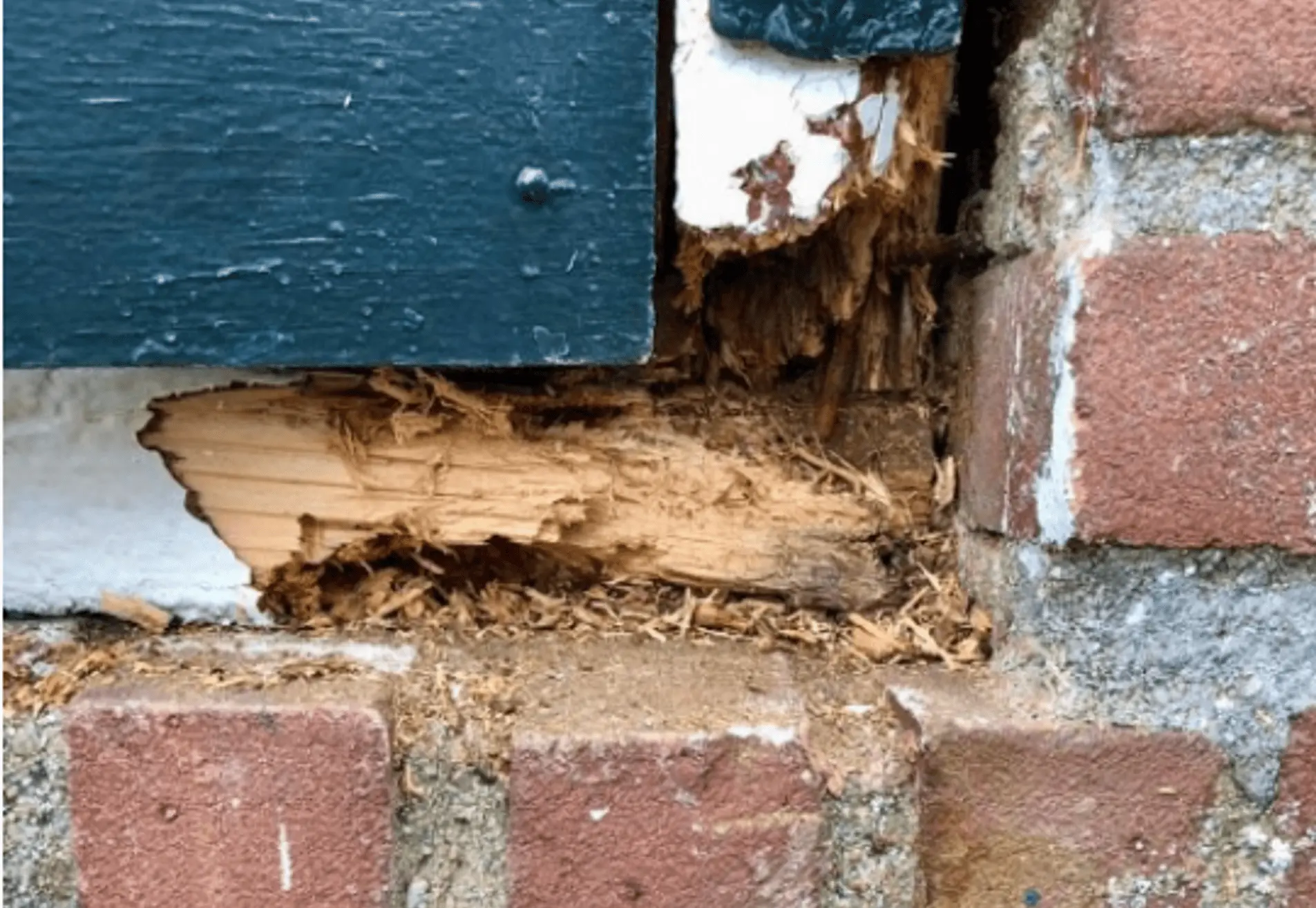 Houtrot reparatie Zwolle