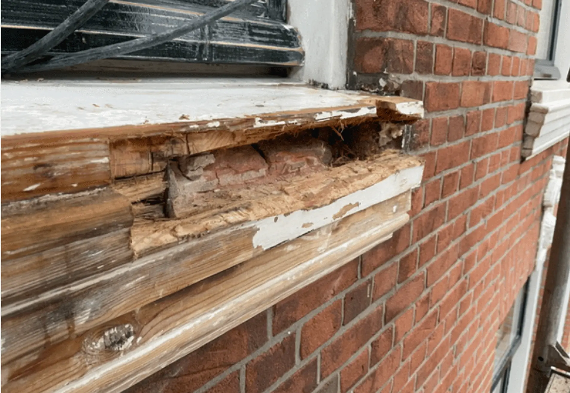 Houtrot reparatie Zuid-Holland