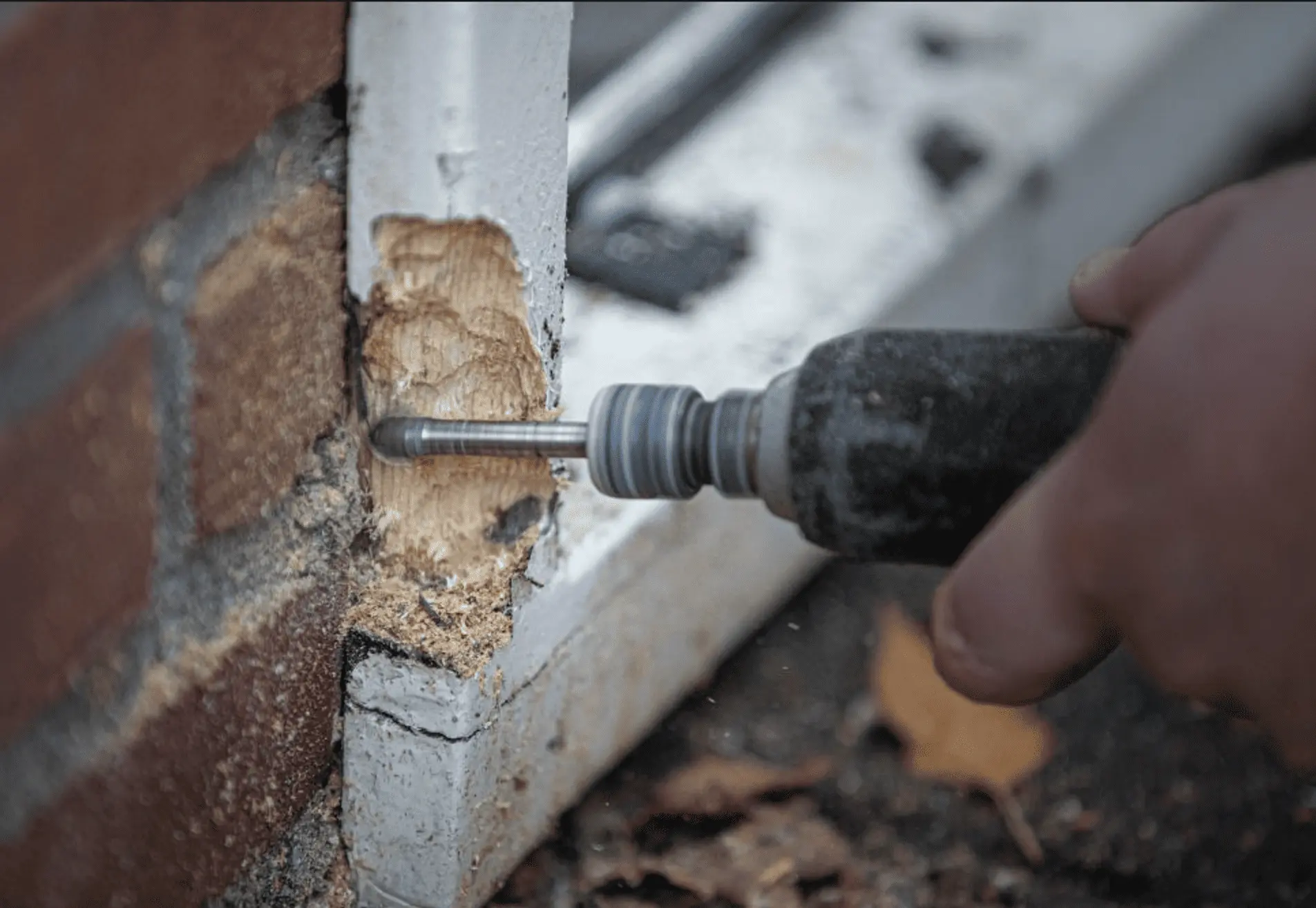 Houtrotreparatie Valthermond