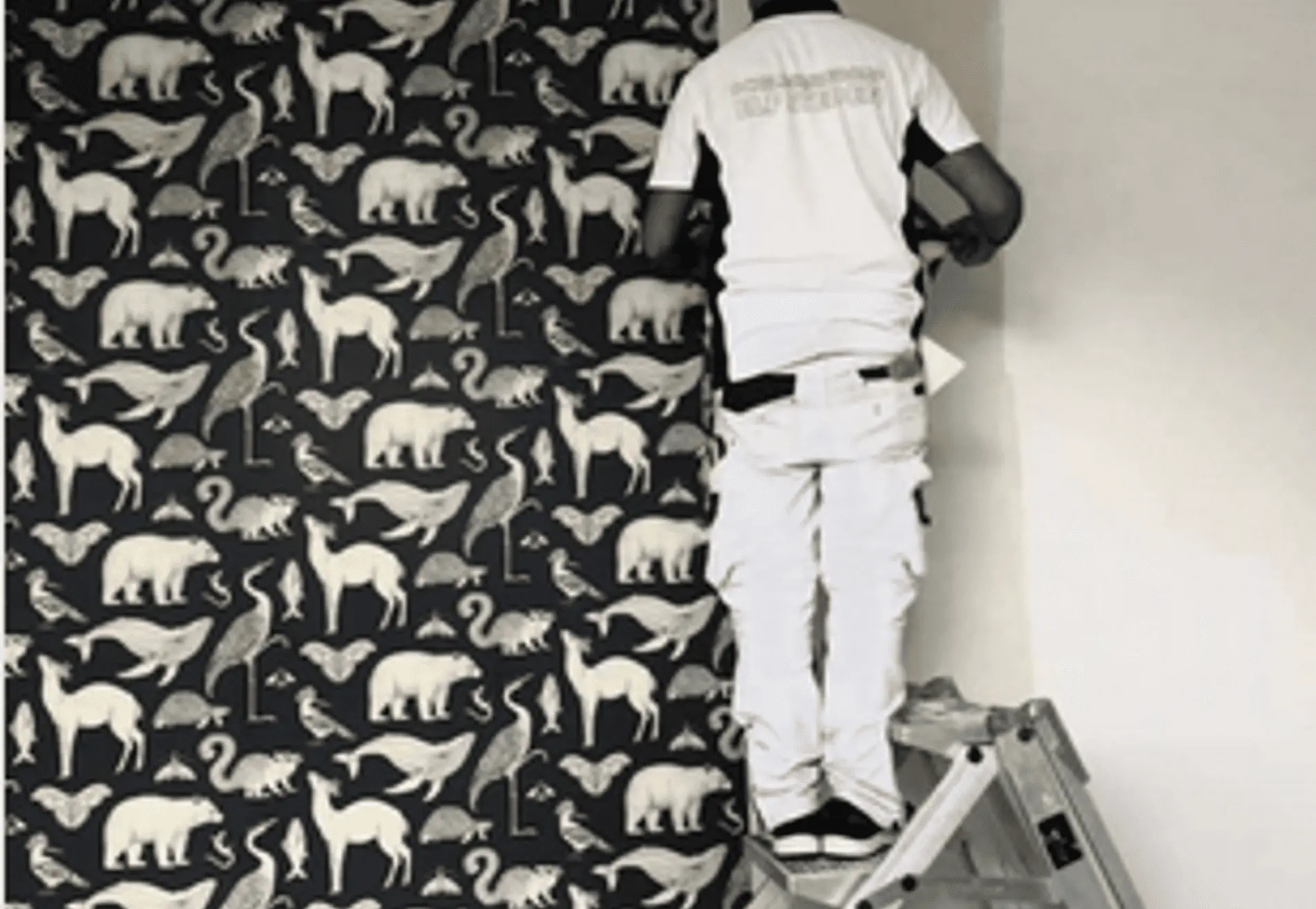 Behangwerk Friesland