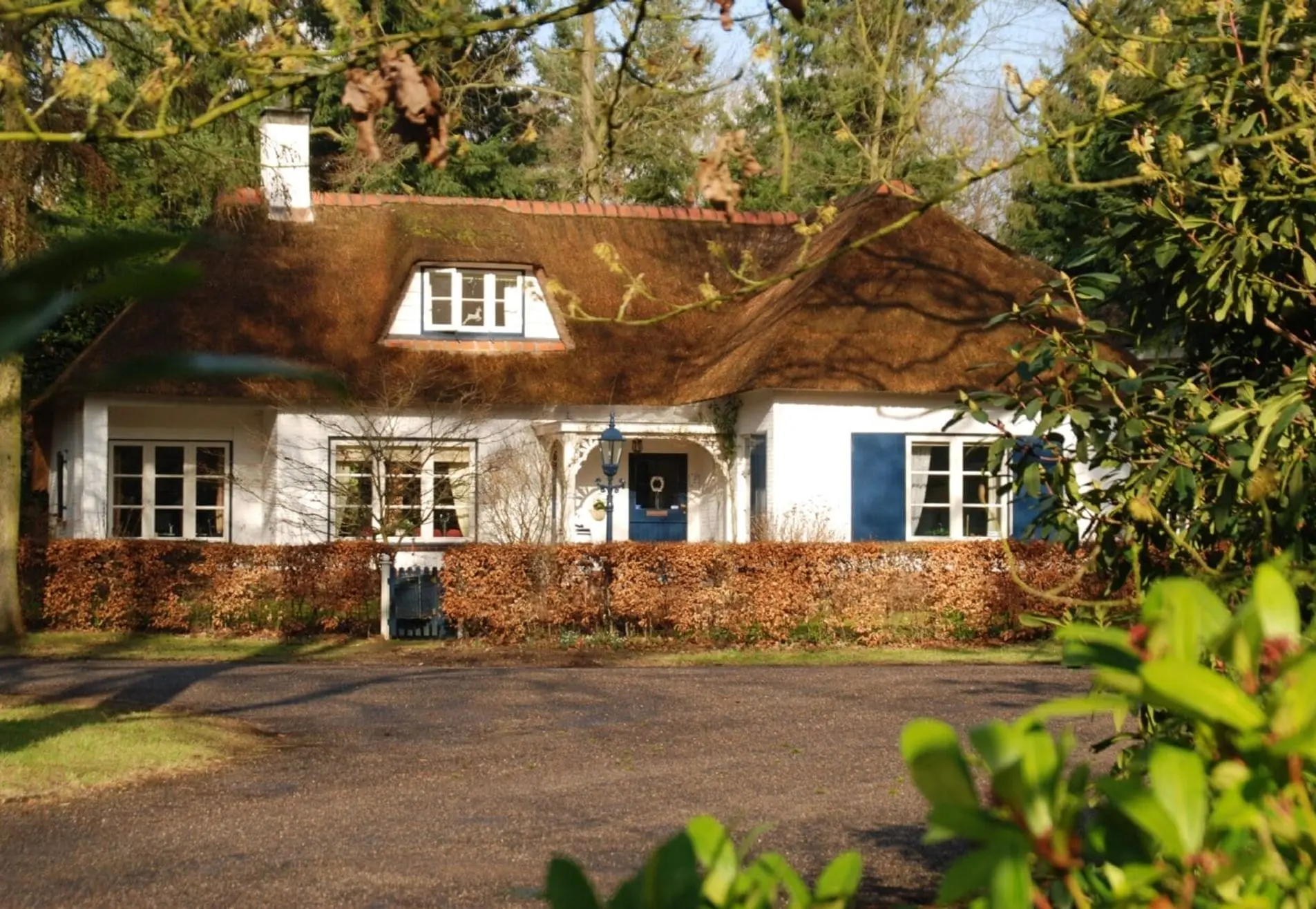 Prachtige villa met rieten dak in bosrijke omgeving. De ramen zijn wit geschilderd en de luiken blauw