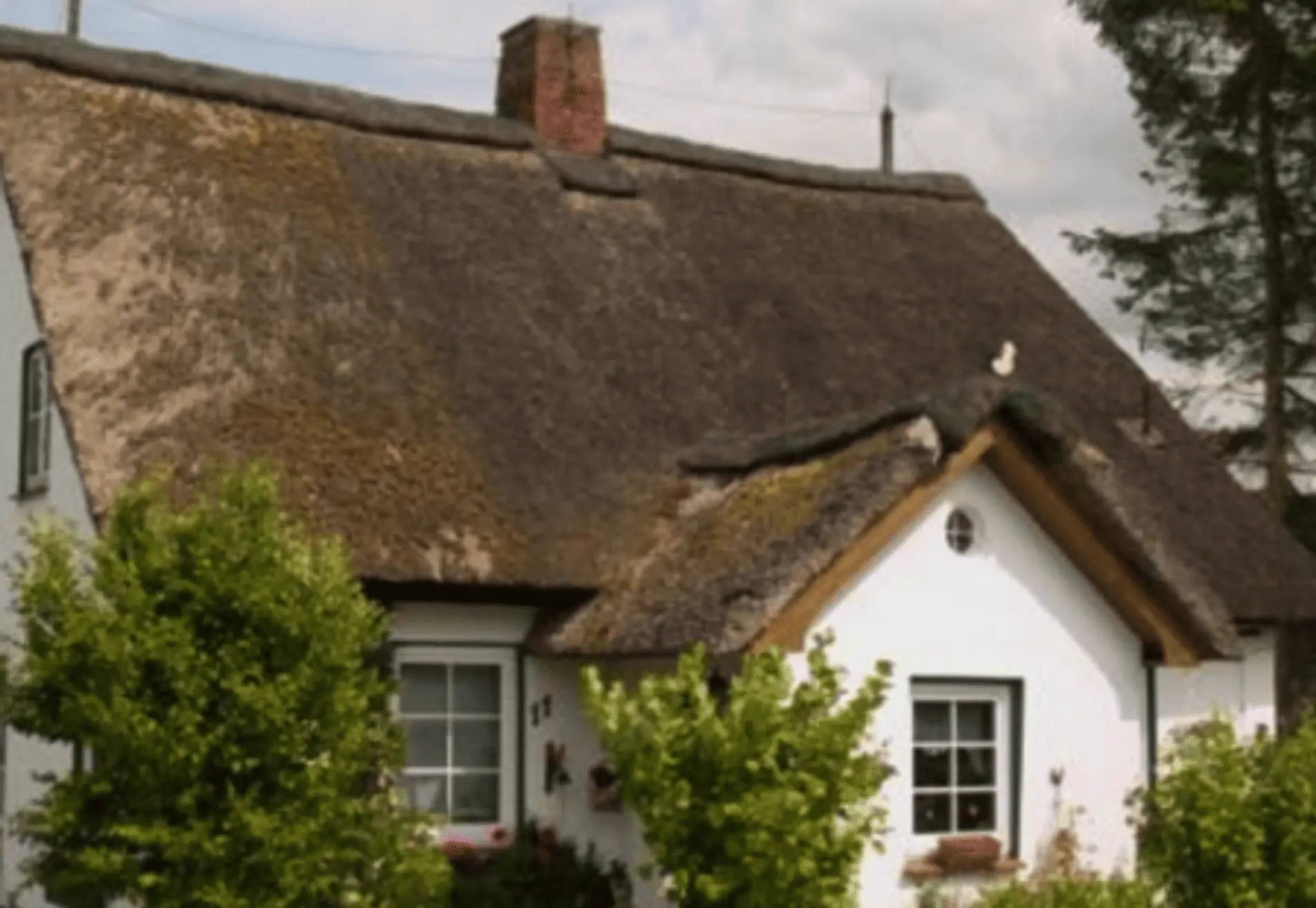 Lodewijks Schilderwerken Utrecht