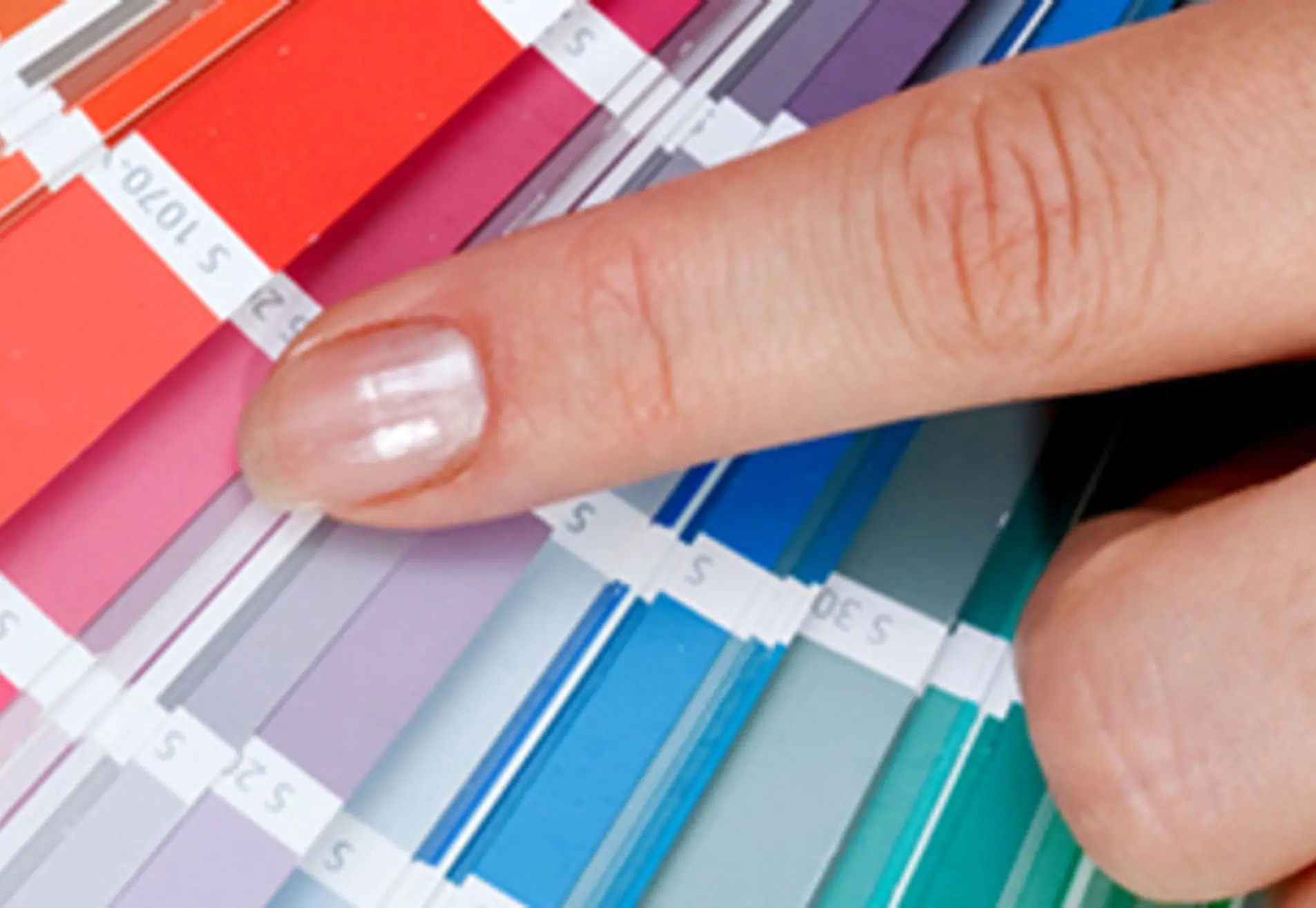 Lodewijks Schilderwerken Utrecht