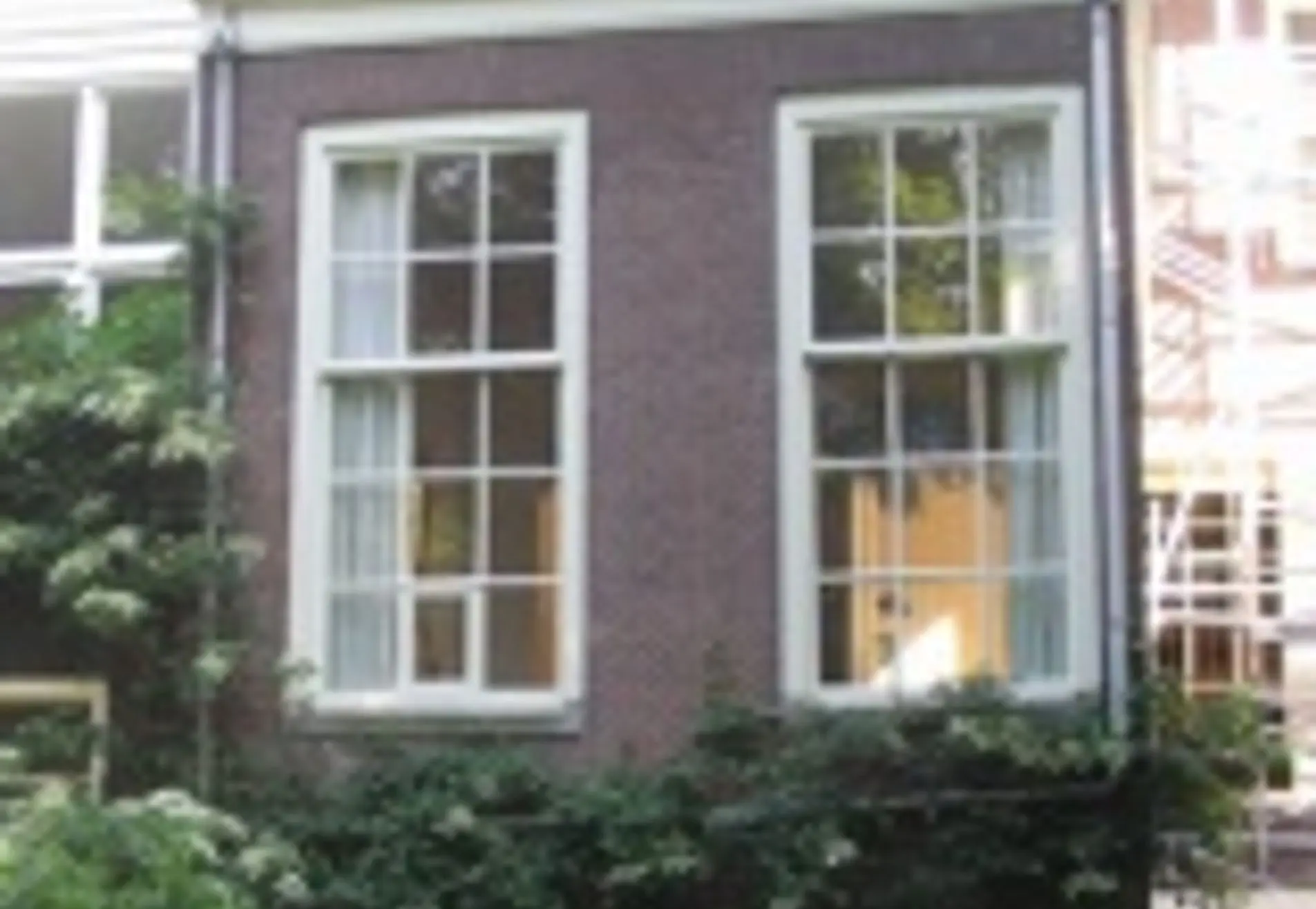 Van Rijn Schilderwerken